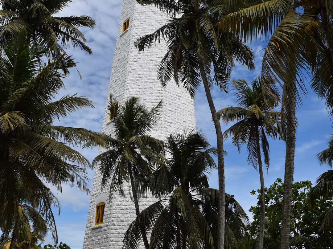 Dondra Head Lighthouse景点图片
