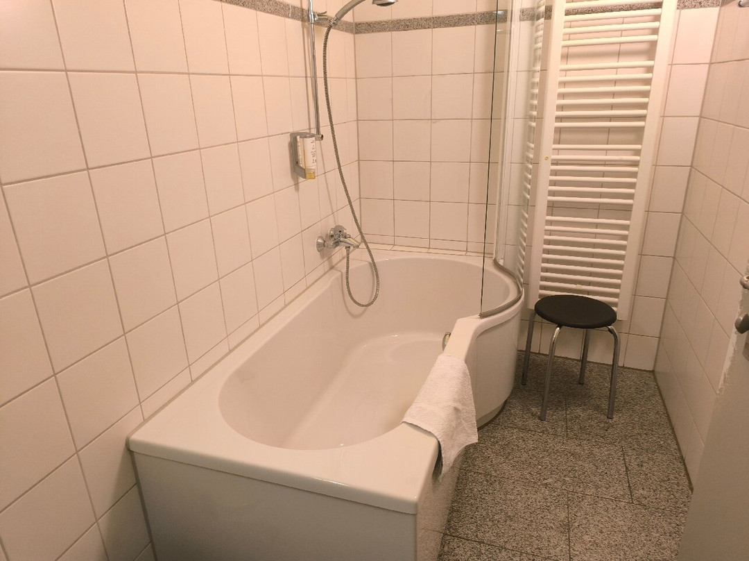 Hotel Zittauer Hof主图