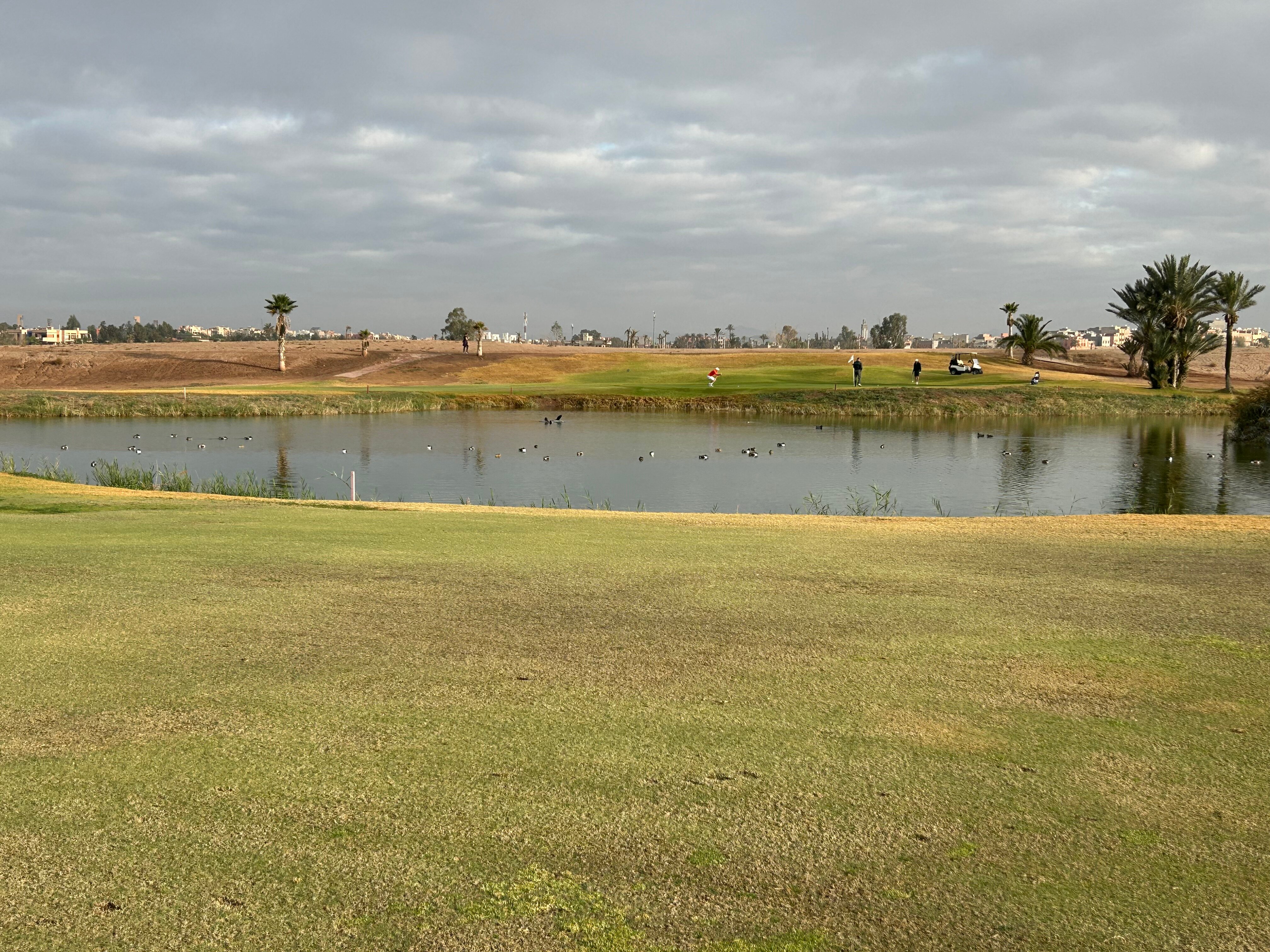 Golf Club Rotana Palmeraie-官方