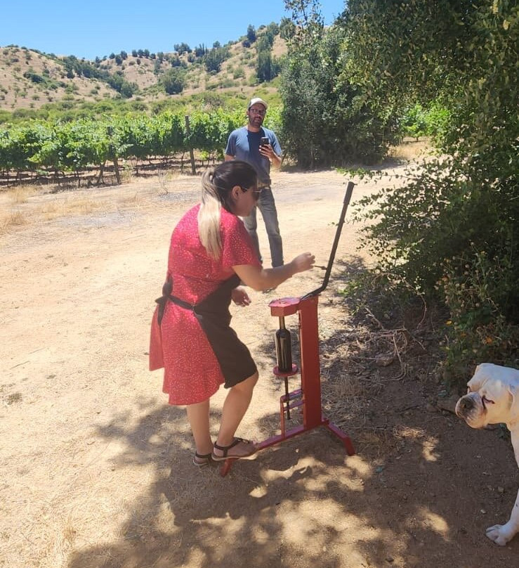 Viña Ranquilhue-Pumanque必去景点