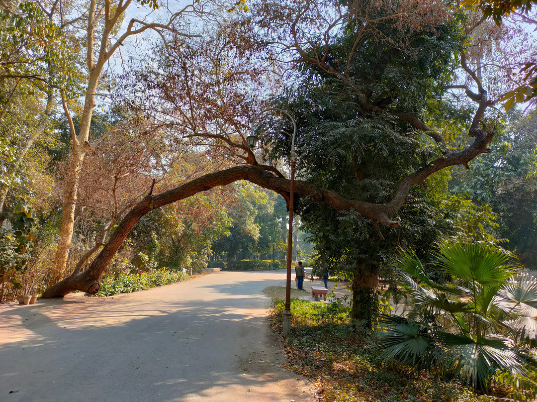 Bagh-e-Jinnah-拉合尔必去景点