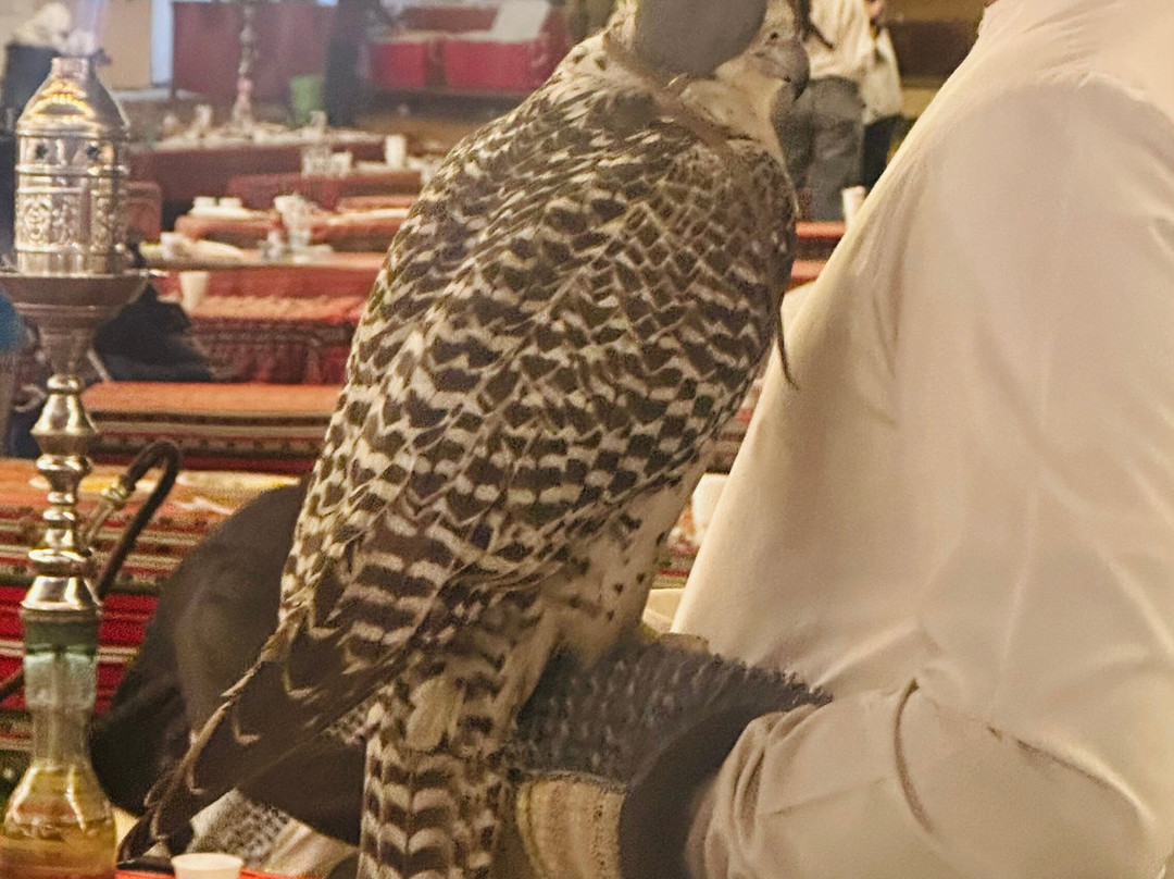 ICL Tours & Travels-Al Awir必去景点