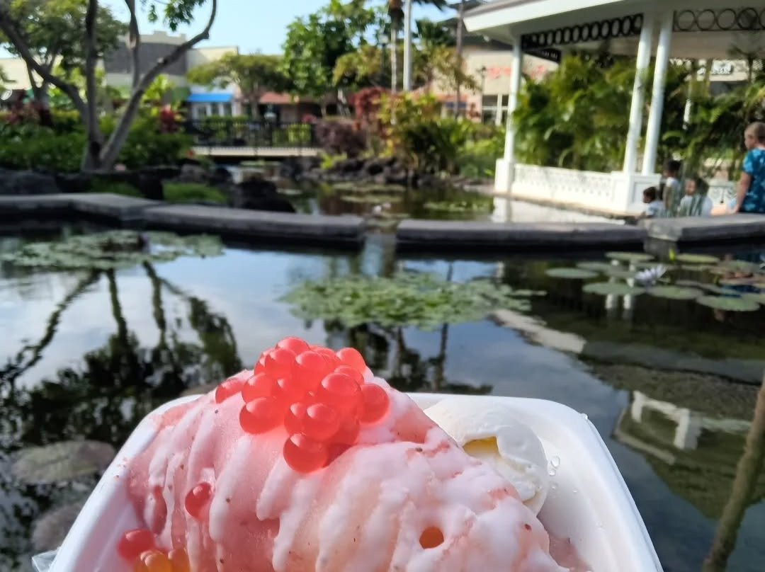 Gecko Girlz Shave Ice And Ice Cream Shop