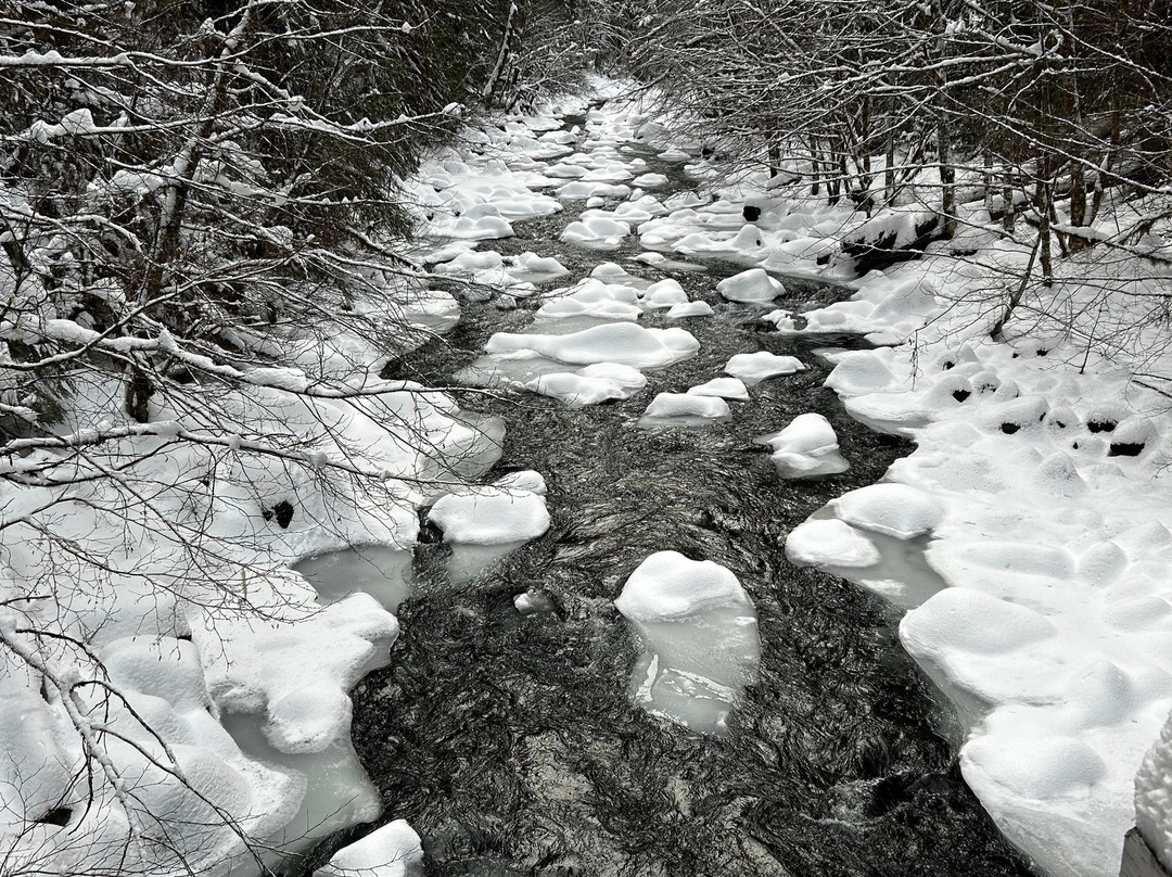 Bagby Hot Springs-Estacada必去景点