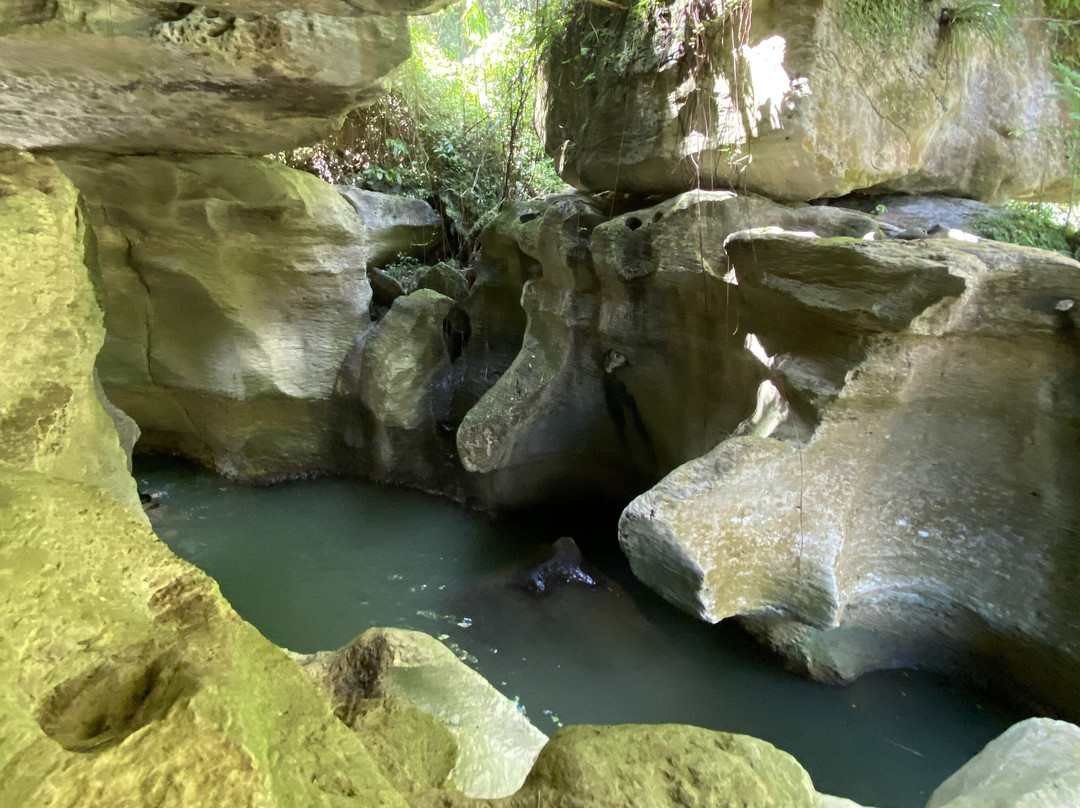 Exploradise-波多黎各必去景点