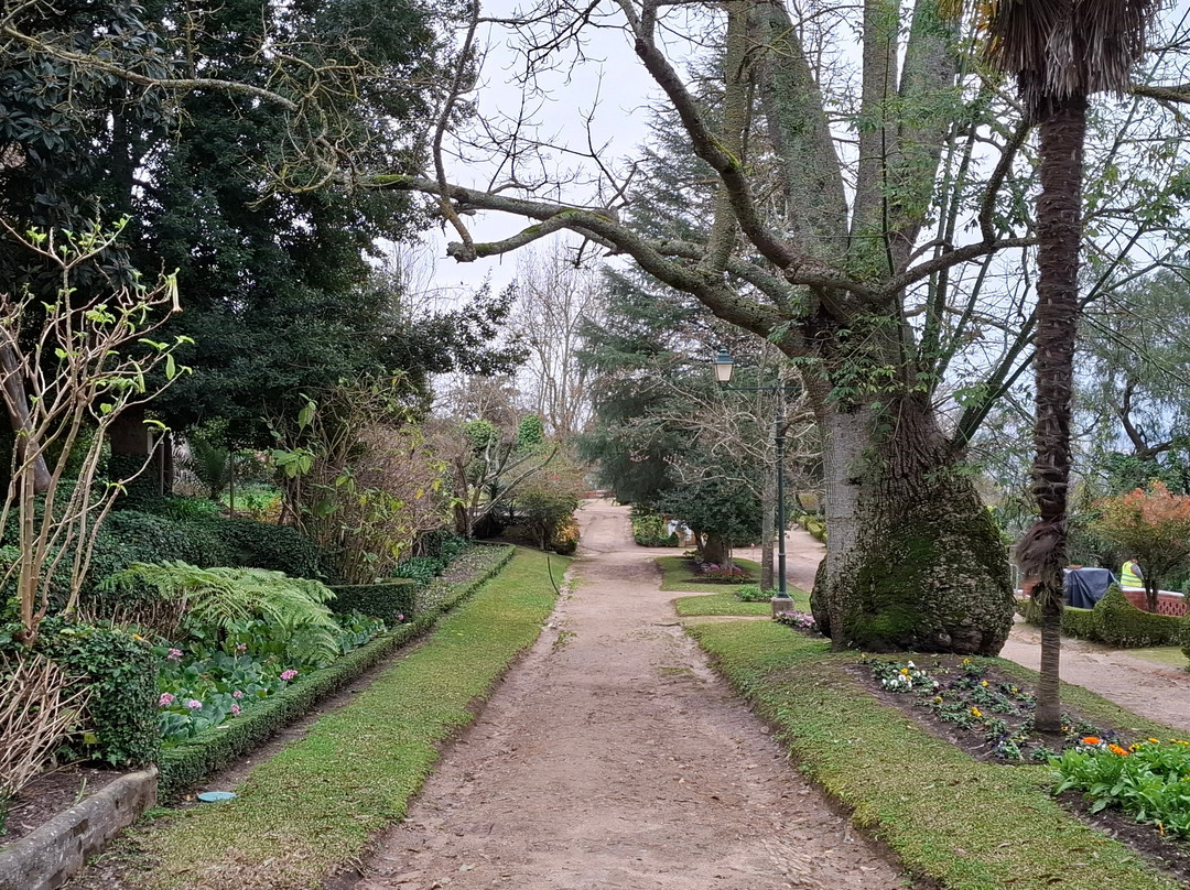 Jardim Do Castelo景点图片