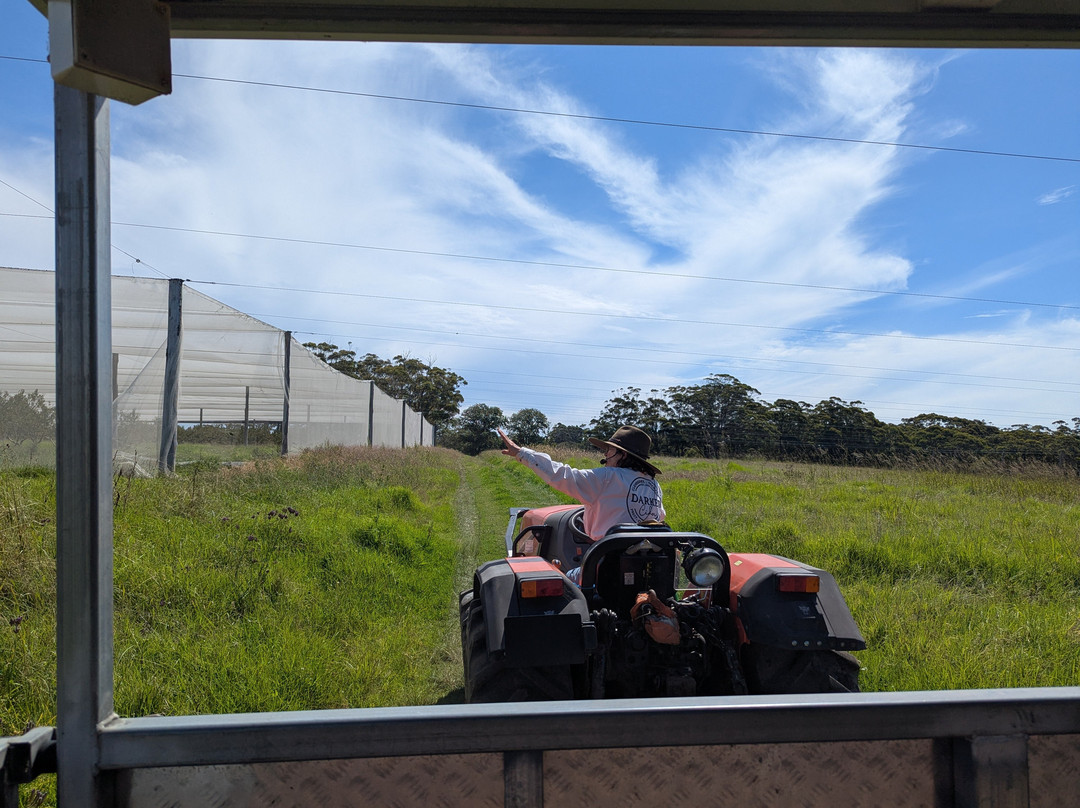 Appleshack at Glenbernie Orchard-Darkes Forest必去景点