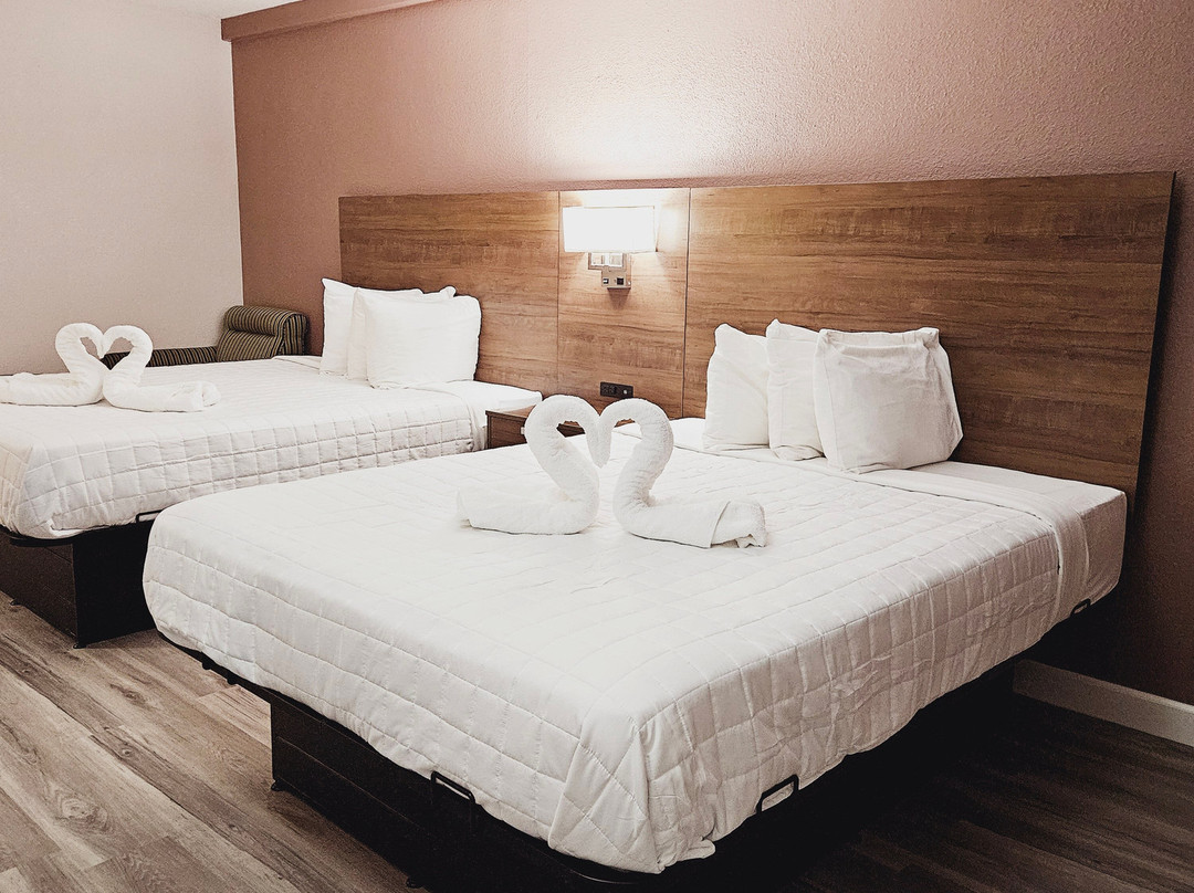 Surestay Plus By Best Western Hopkinsville主图