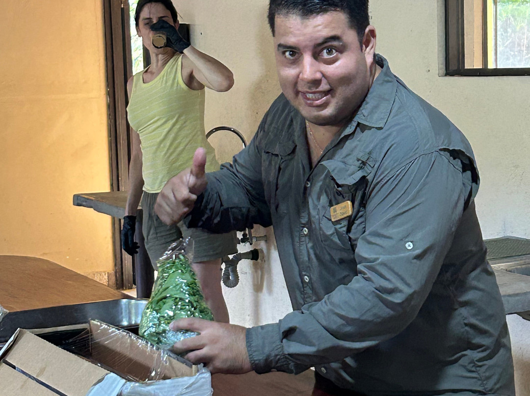 Buena Vista del Rincon Eco Adventure Park Hotel & Spa主图