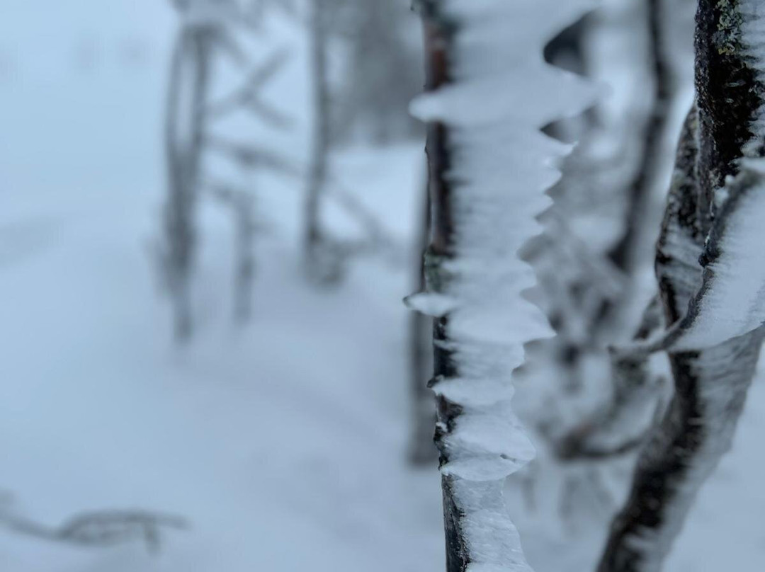 Wildmaker Lapland-Muonio必去景点