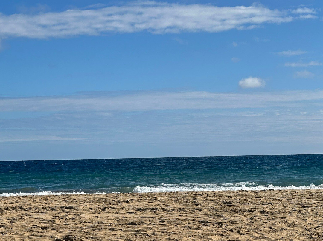 Kiosco Beach No 7景点图片