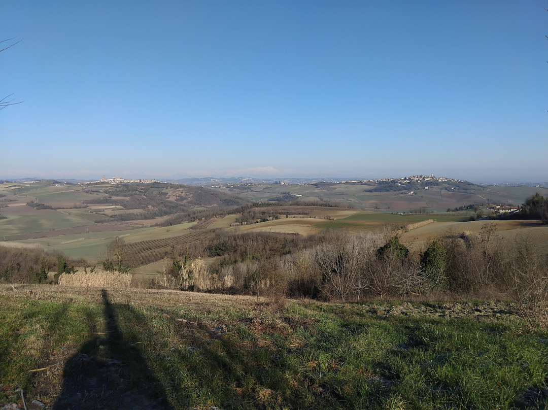 Strada Panoramica Tra Cuccaro Monferrato e Lu景点图片