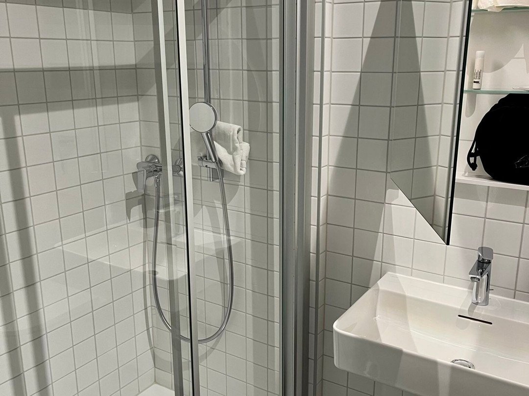 Hotel Le Sauvage主图