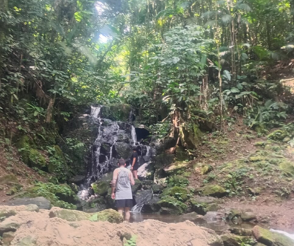 Parque Estadual Cantareira - Núcleo Cabuçu-瓜鲁柳斯必去景点