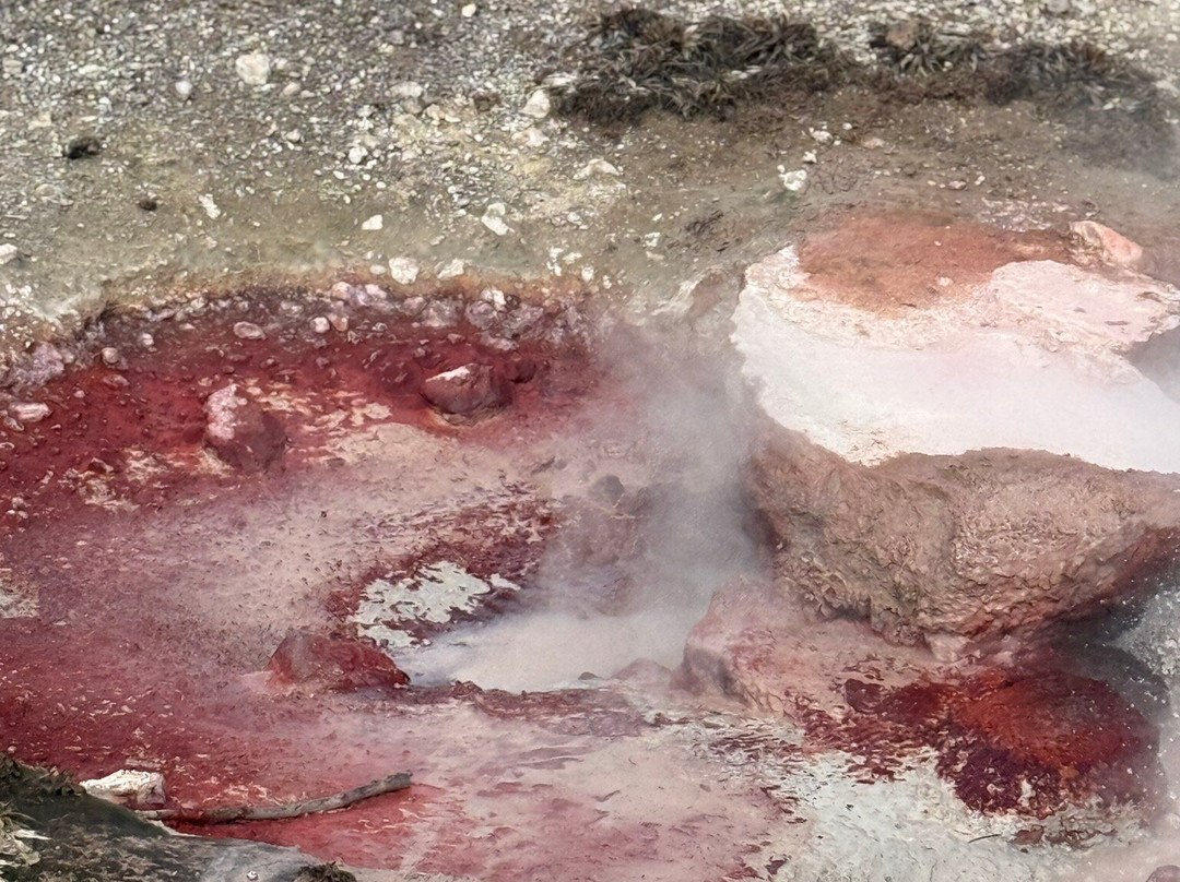 Scenic Safaris-杰克逊必去景点