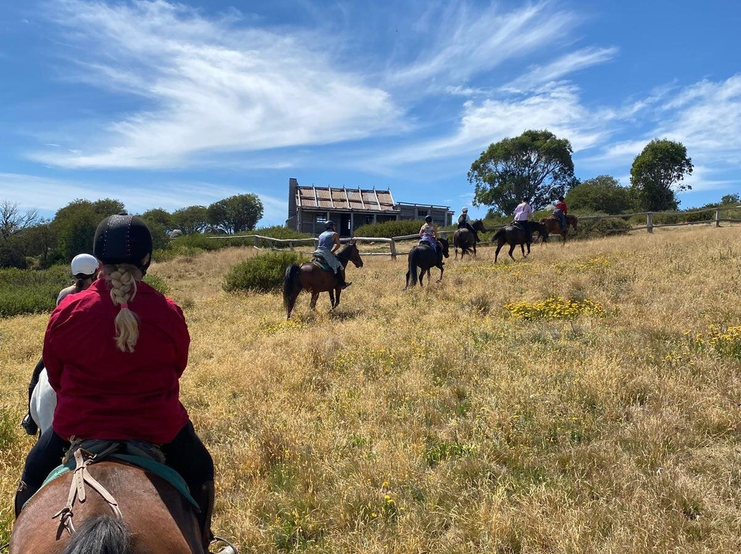 Buckle Up Bushrides-Merrijig必去景点