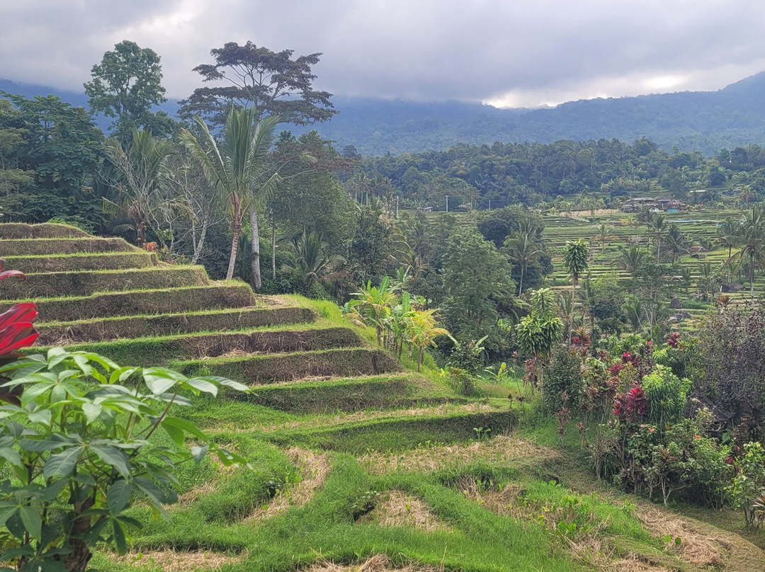 Bagus Holidays Bali - Day Tours-沙努尔必去景点