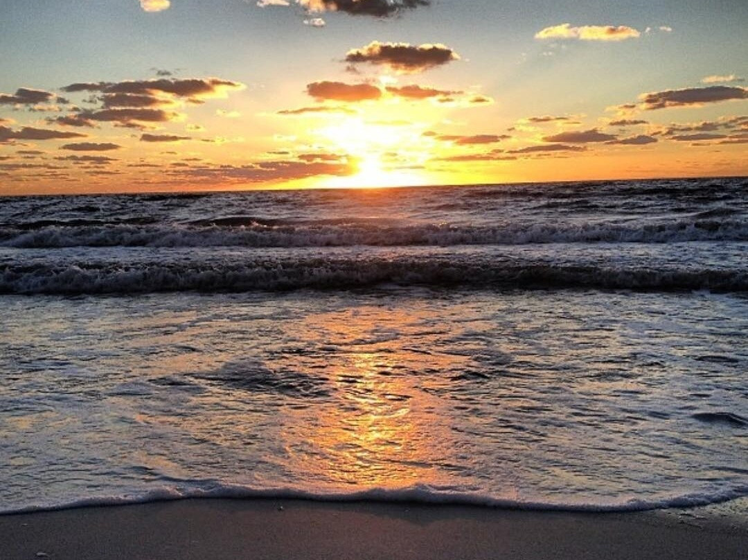 Twin Palms at Siesta主图