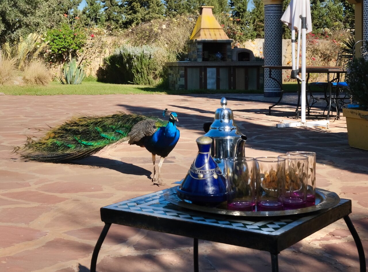 Riad Tanjil-泳池