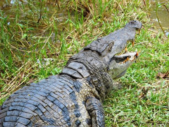 The Almond Tree Guest House主图