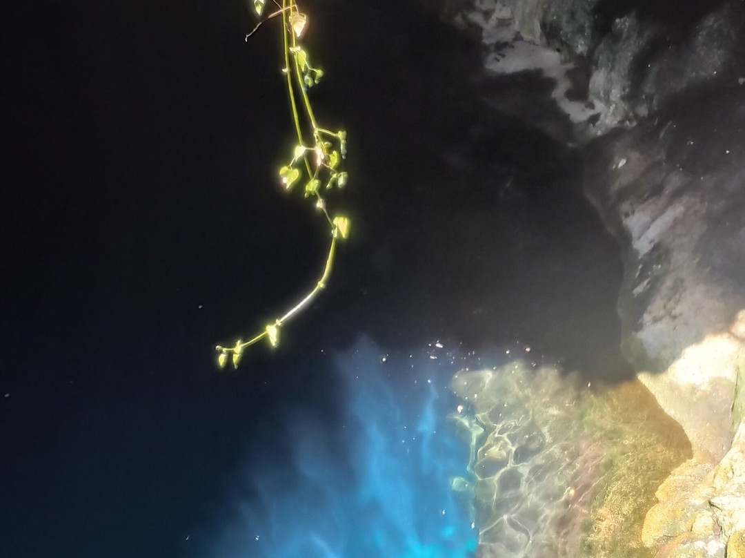 Cenote Kankirixche-Mucuyche必去景点