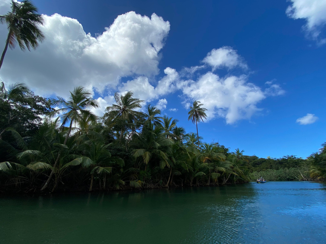 Indian River-多米尼克必去景点