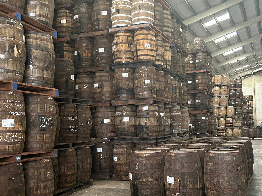 Mount Gay Rum Distillery-Benthams必去景点