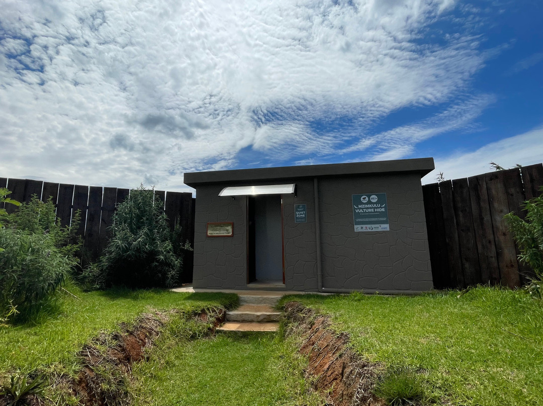 Mzimkulu Vulture Hide-安德堡必去景点