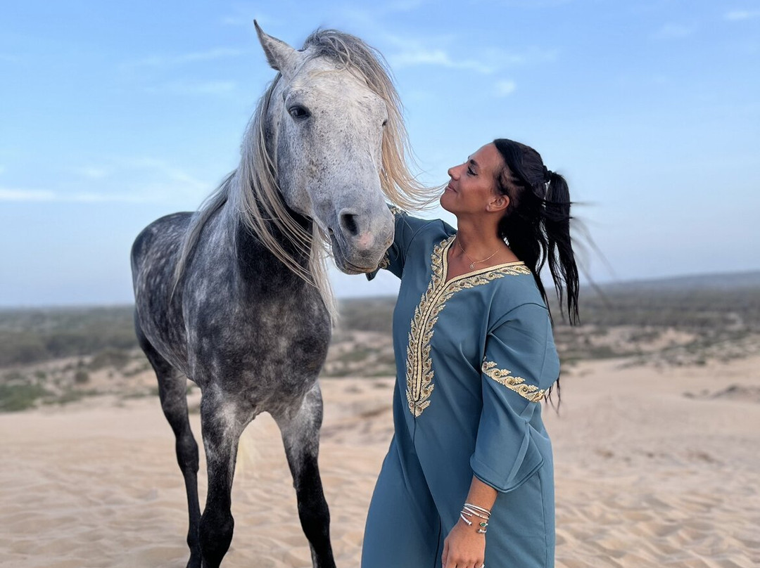Ocean Ranch Essaouira-索维拉必去景点