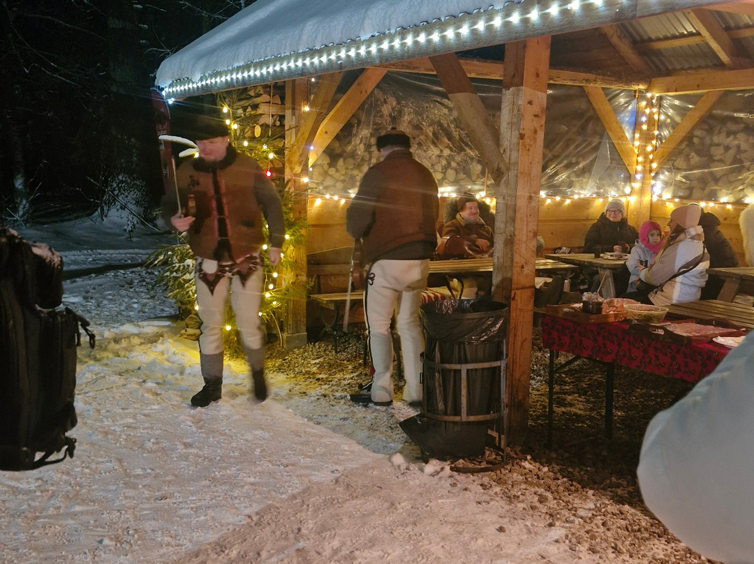 Sleigh Ride in the Tatra National Park-扎科帕内必去景点