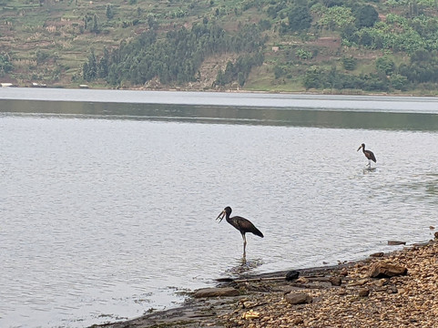 Twin Lakes Tours-Ruhengeri必去景点