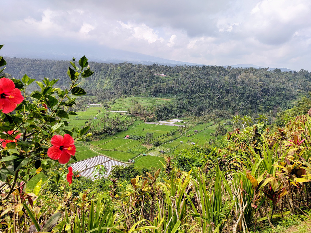 Civitatis-马德里必去景点