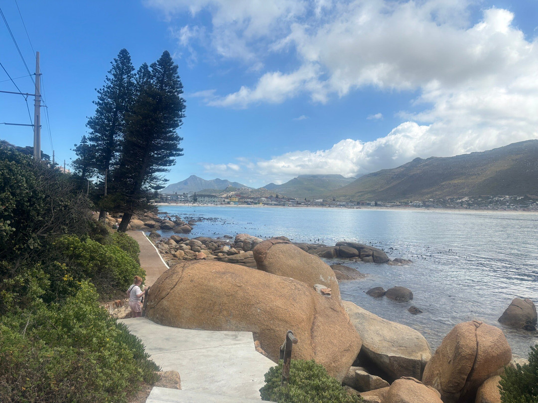 Sunny Cove Manor主图