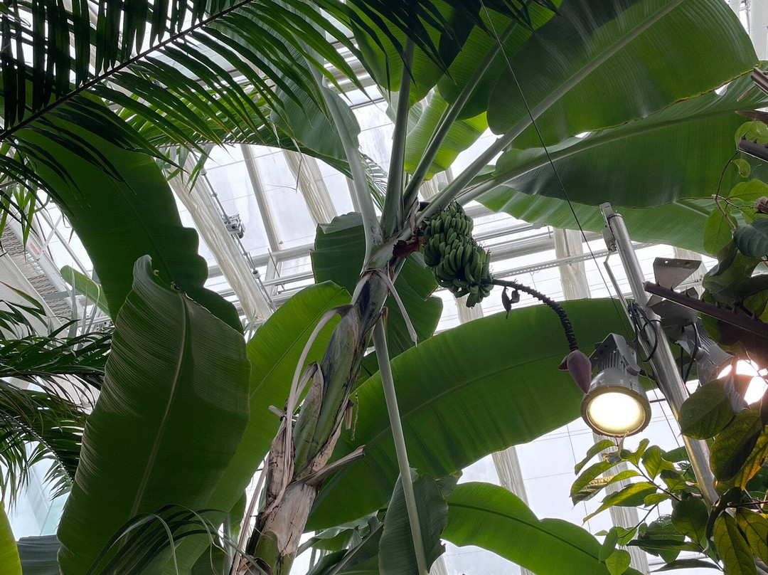 Bergius Botanic Garden-斯德哥尔摩必去景点