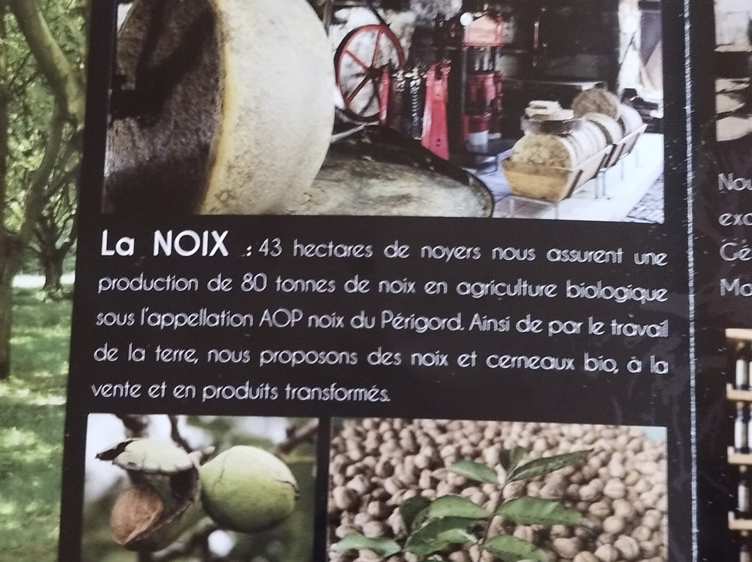 Moulin a Huile de Noix-Martel必去景点