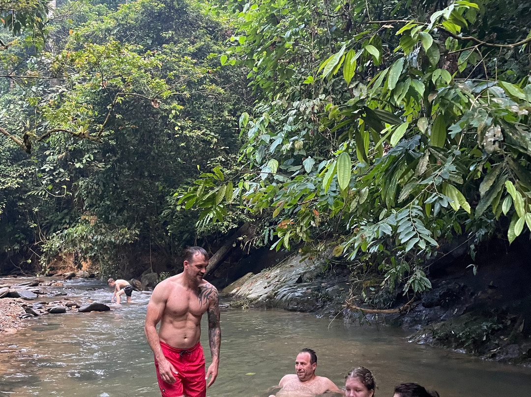 Back to Nature Ecotourism主图