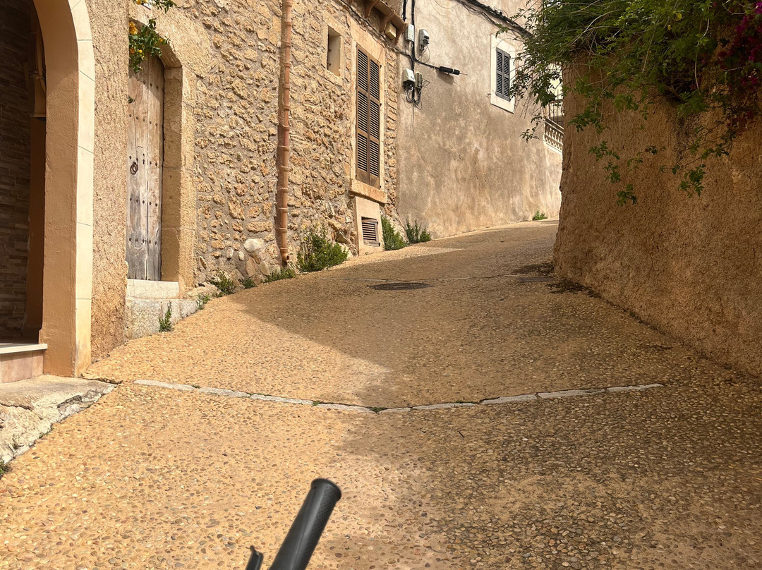 Rent a Bike Schulz & Junior-Cala Ratjada必去景点