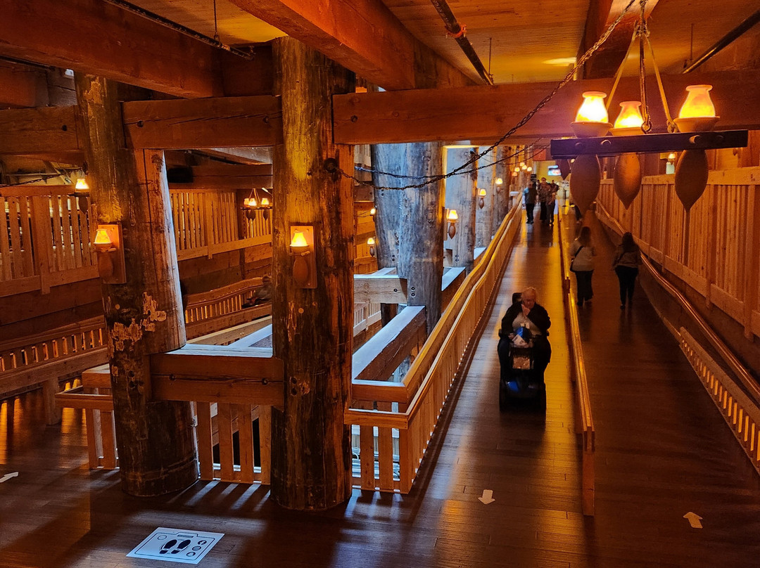 Team Johnson Limo-Delta必去景点