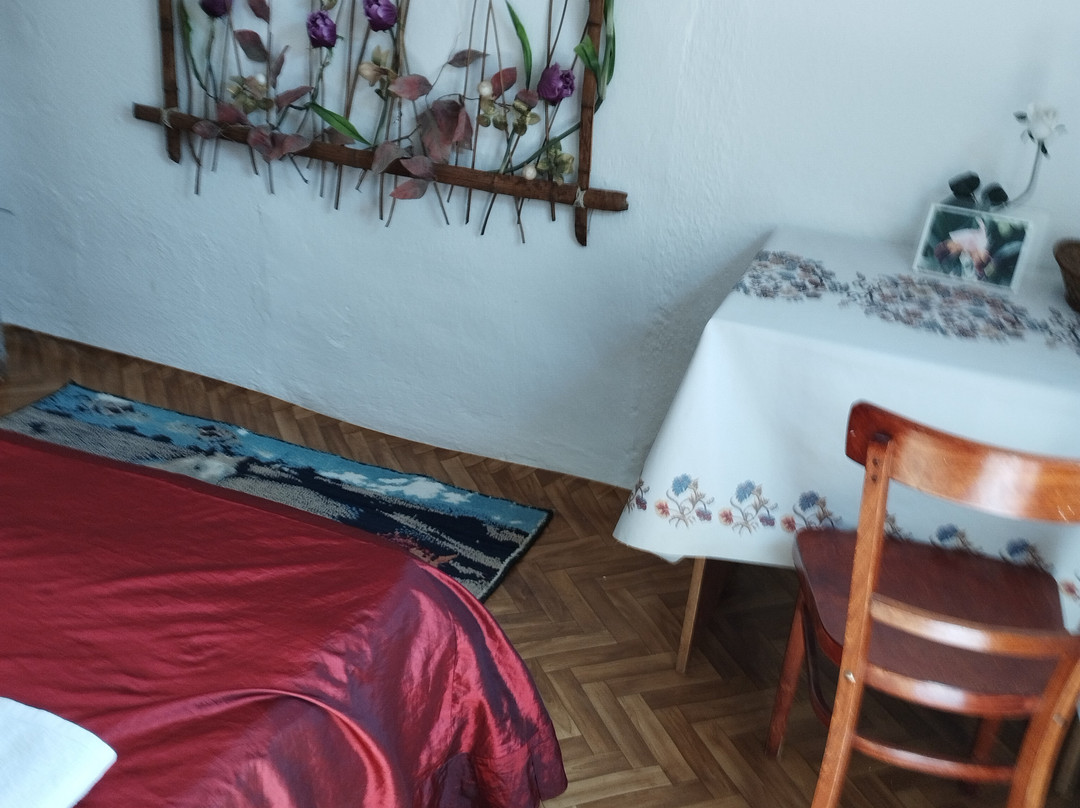 Guest house on Akmatbai-Ata 29主图