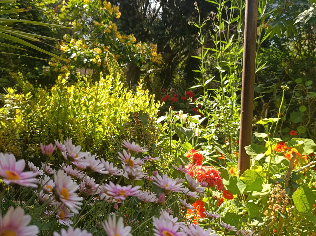 La Almunya del Sur Botanical Garden景点图片