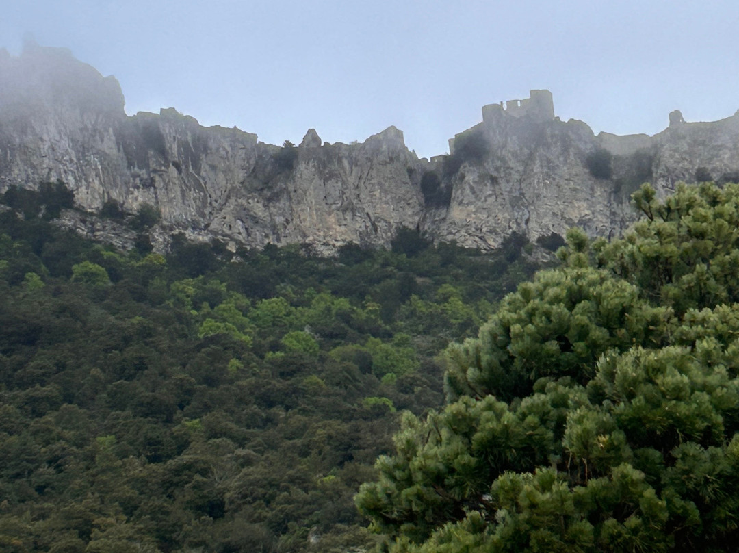 Chateau de Peyrepertuse景点图片