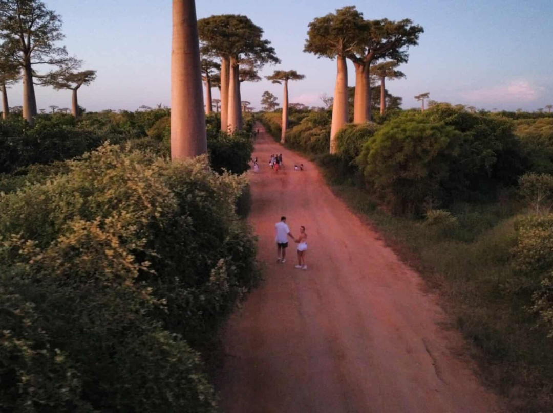 Madagascar Natural Tours-安塔那那利佛必去景点