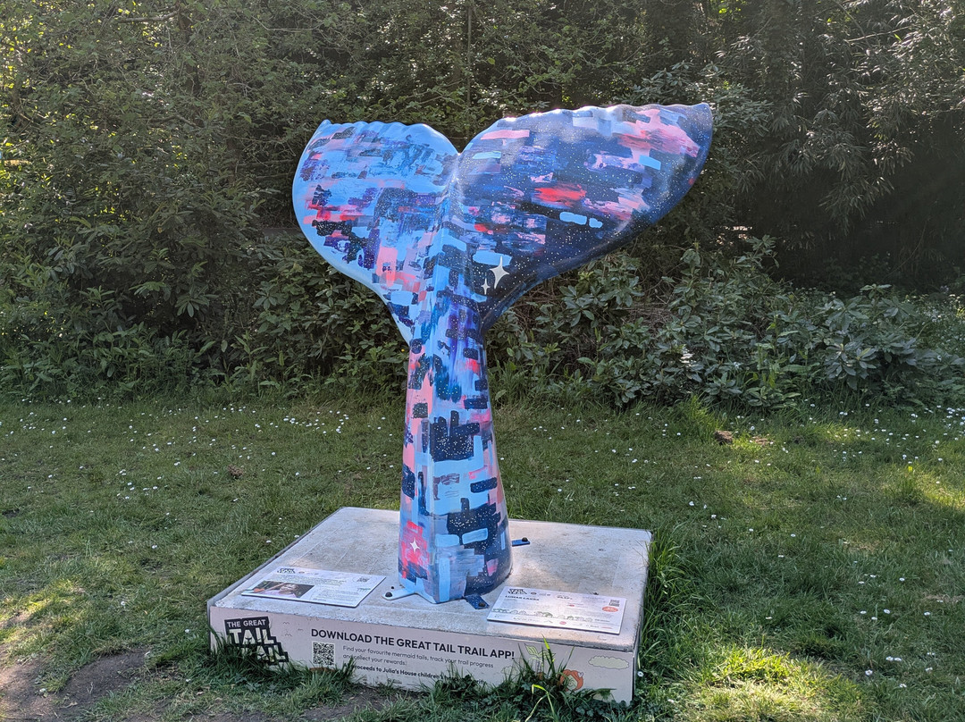 Coy Pond Gardens-普尔必去景点