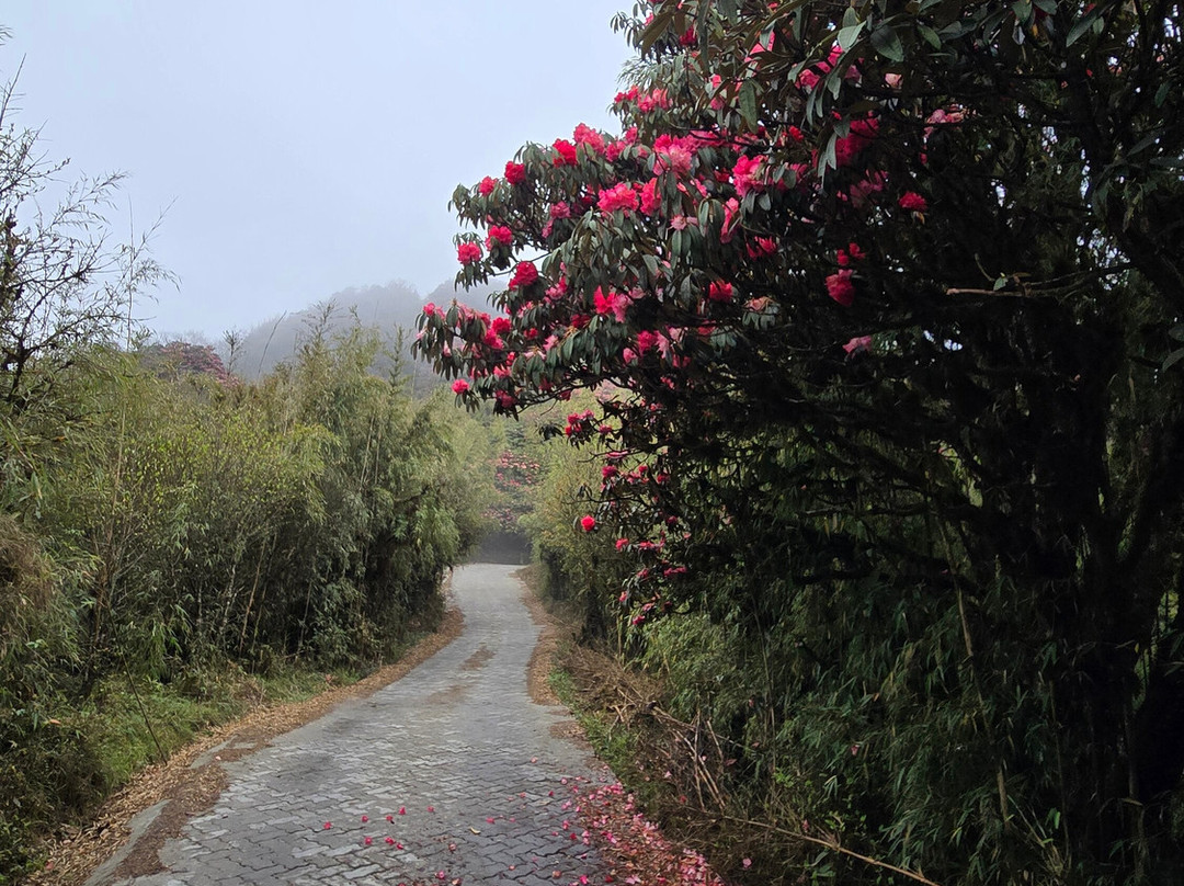 Adventures Unlimited景点图片
