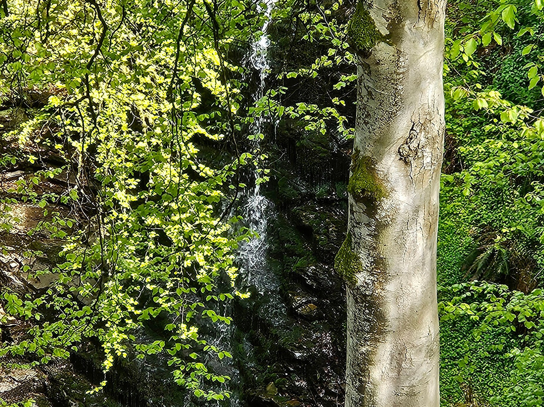The Birks of Aberfeldy-Aberfeldy必去景点