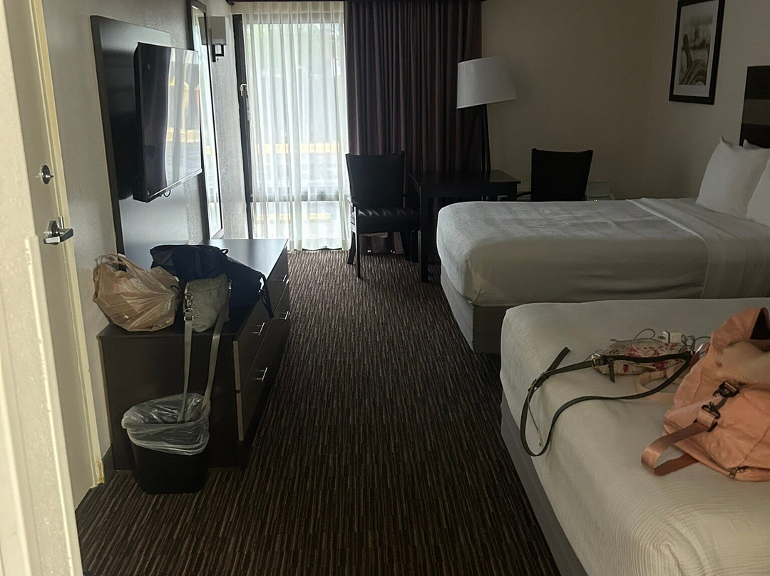 Best Western Oak Manor主图