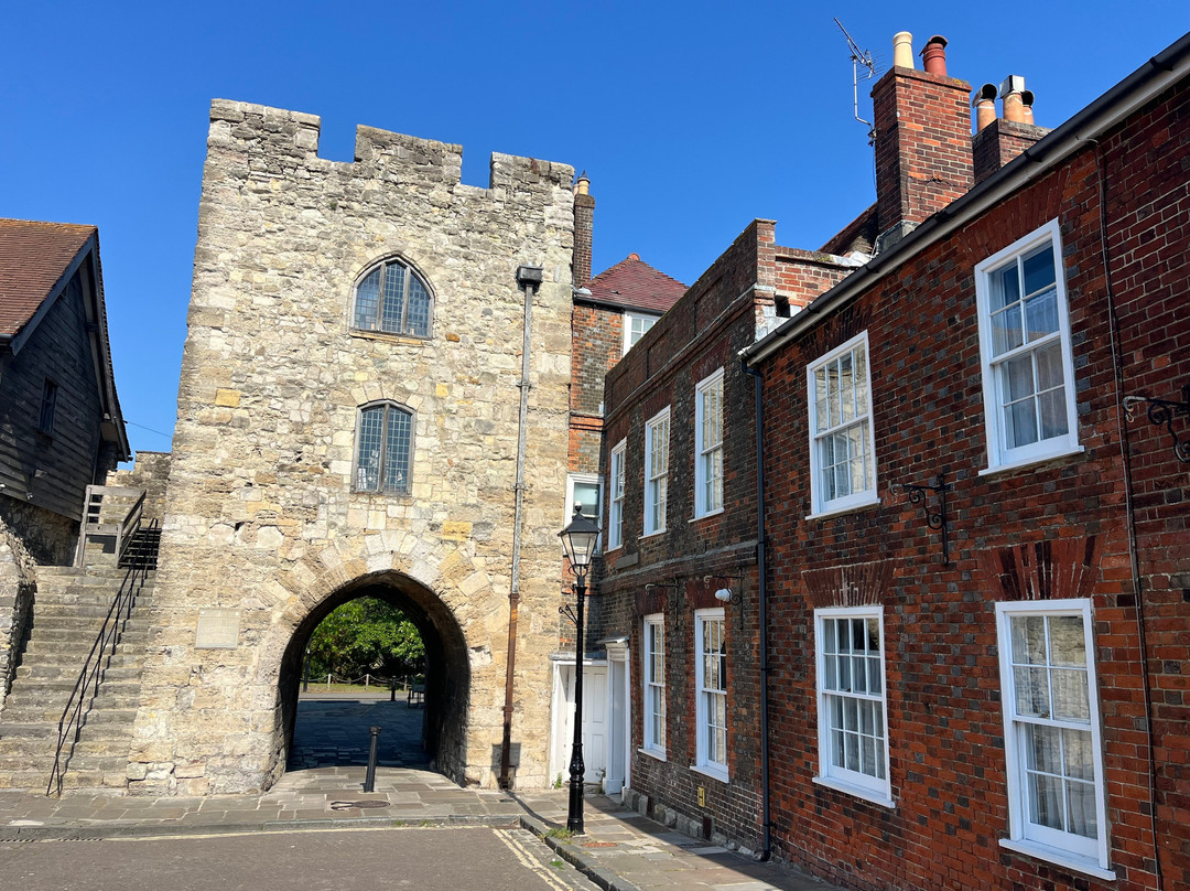 THE PIG-in the Wall主图