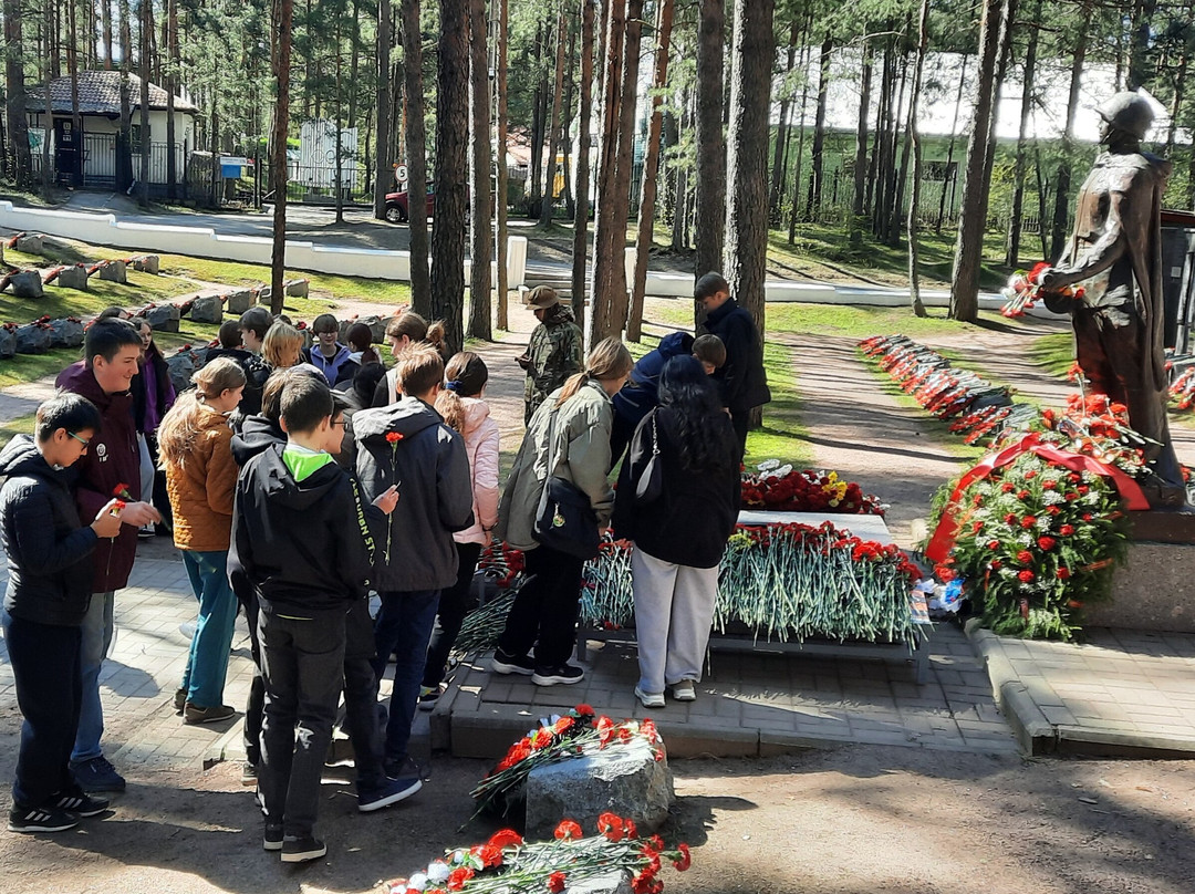 Sestroetskiy Rubezh景点图片