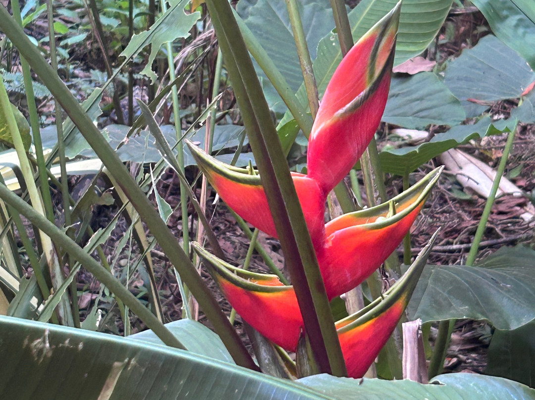 Kalkonu Travel-Ciudad Colon必去景点