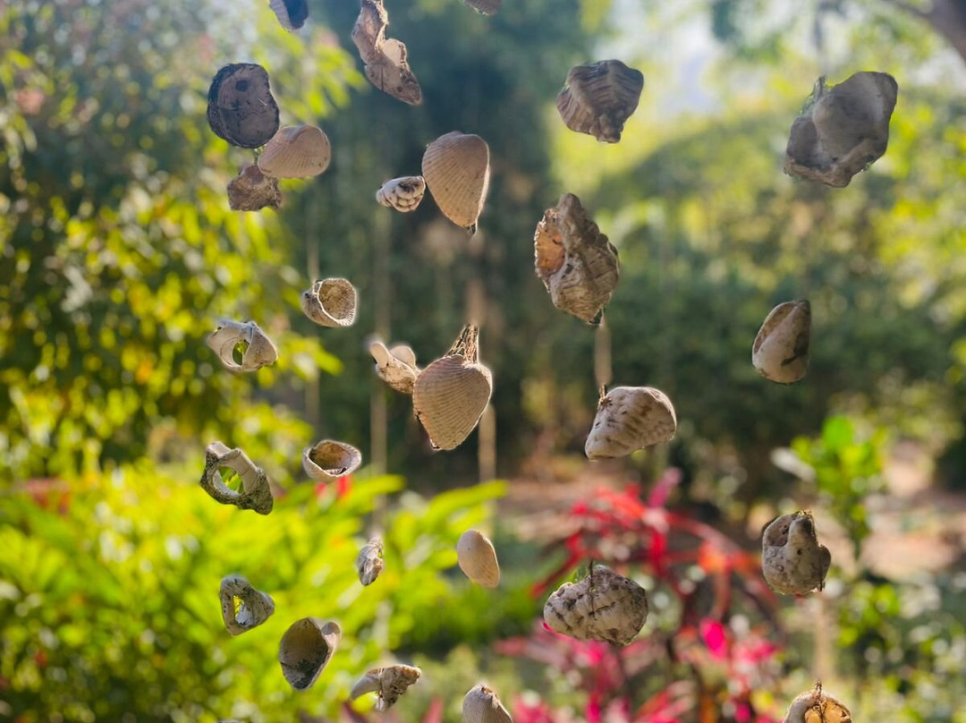 Vikara Wellness Retreats & Holistic Health-Yelapa必去景点